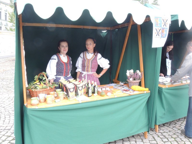 Frýdek ožije Festivalem partnerských měst