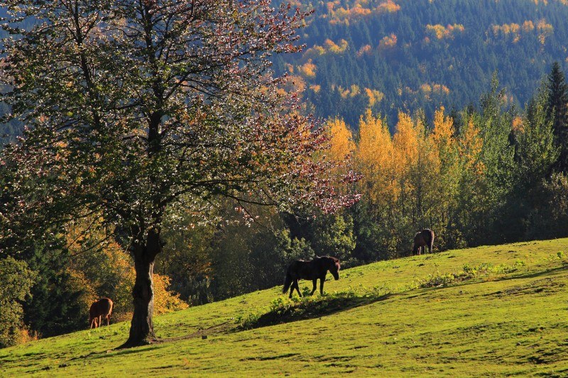 Vydejte se za krásami podzimních Beskyd