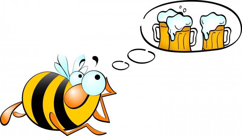 Kde se pivo vaří, tam se dobře daří!