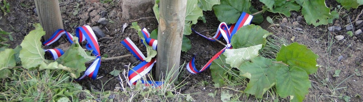 Beskydy mají nové symboly svobody