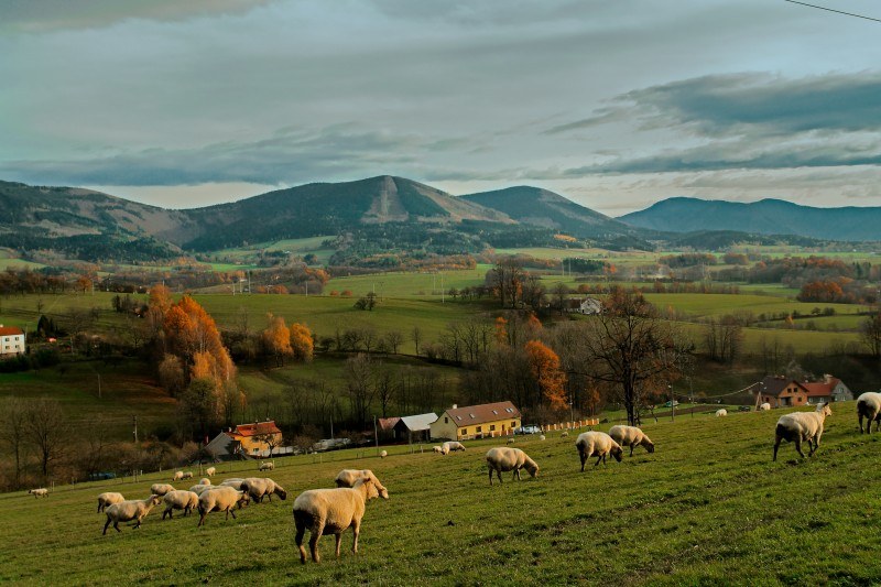 Fantazie podzimu Beskyd