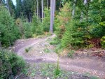 Singletrails Bílá
