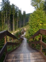 Singletrails Bílá