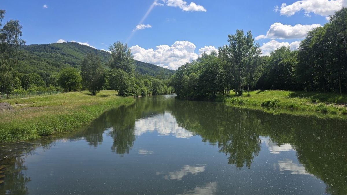 Raškovice