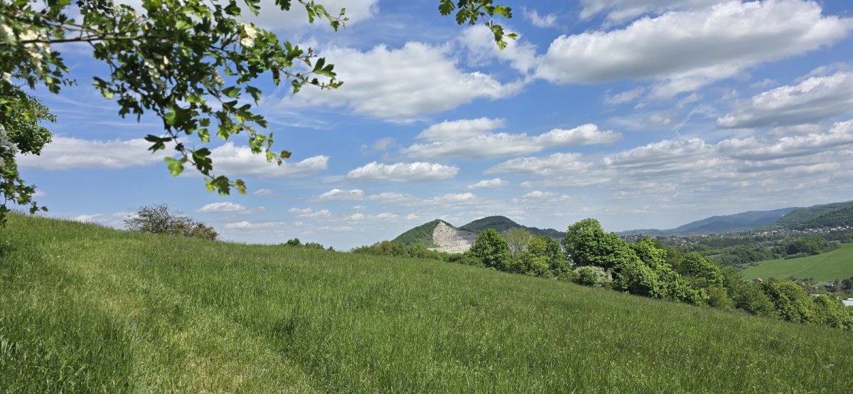 Ženklava
