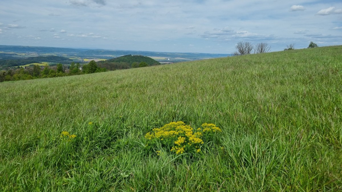 Starý Jičín