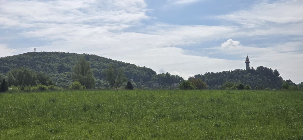 Závišice