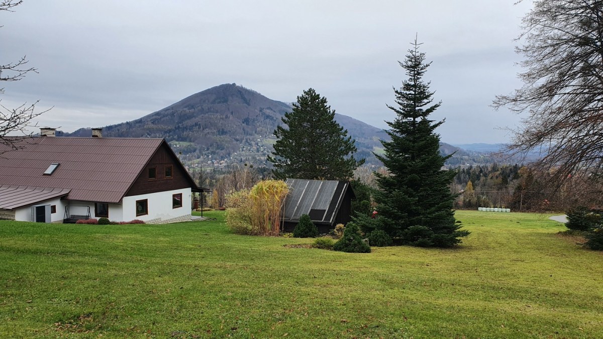 Spokojne spacery