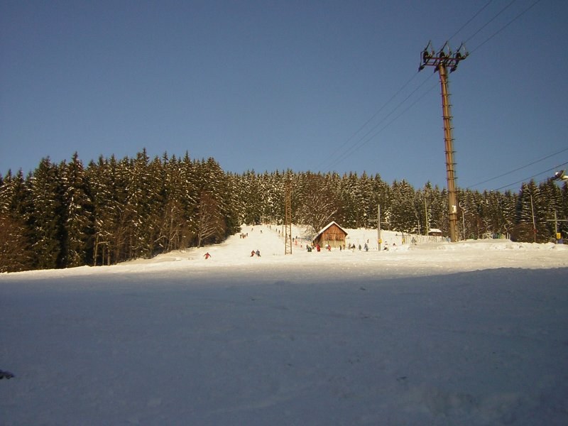 Zlatník - Biocel