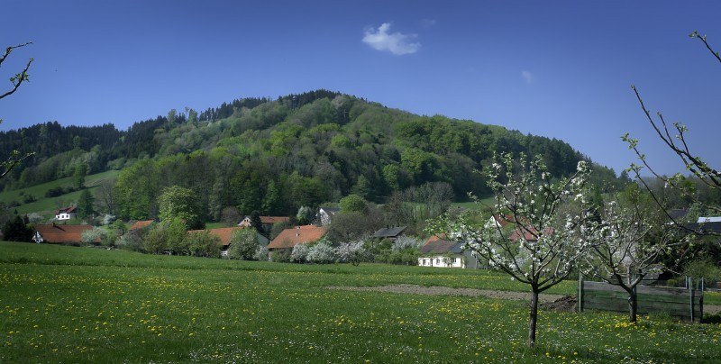 Panorama