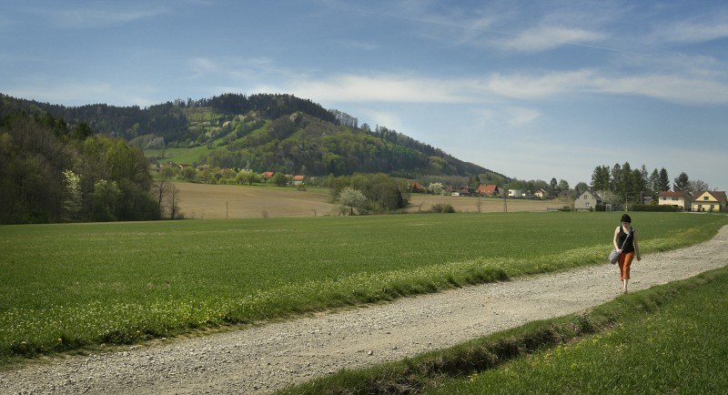 Panorama