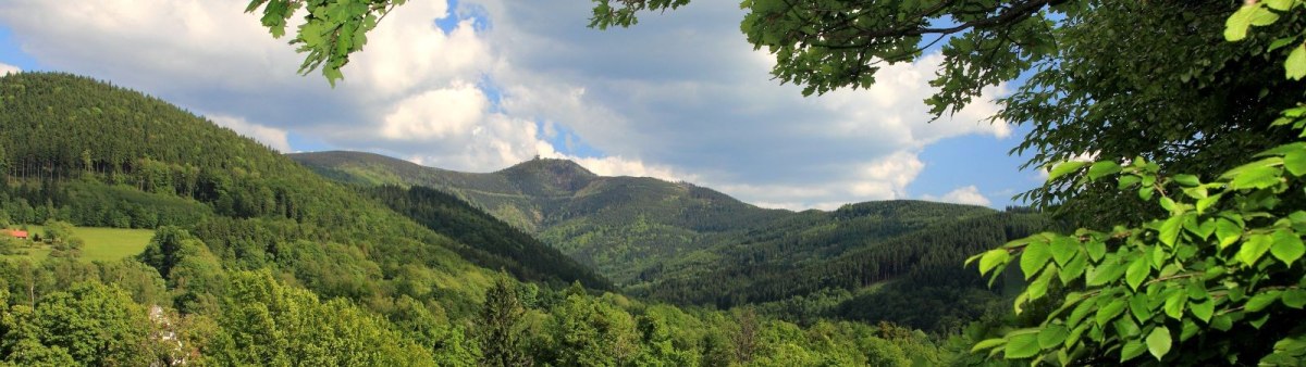 Łysa Góra (1323 m n.p.m.)