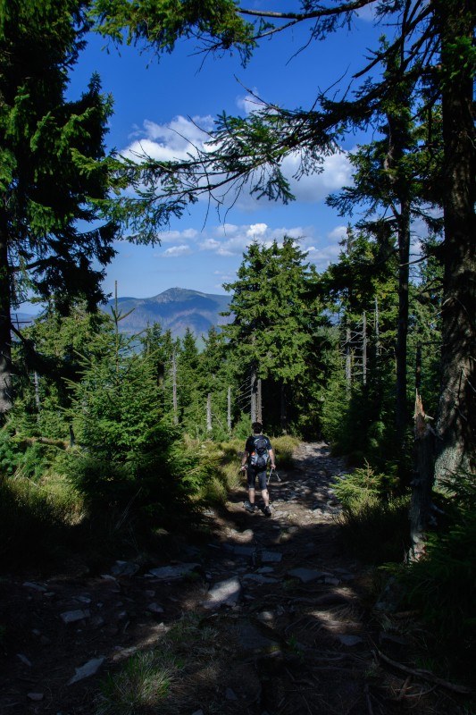 Smrek (1276 m n.p.m.)