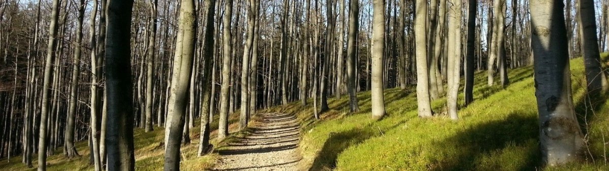 Schronisko Kotař (795 m n.p.m.)