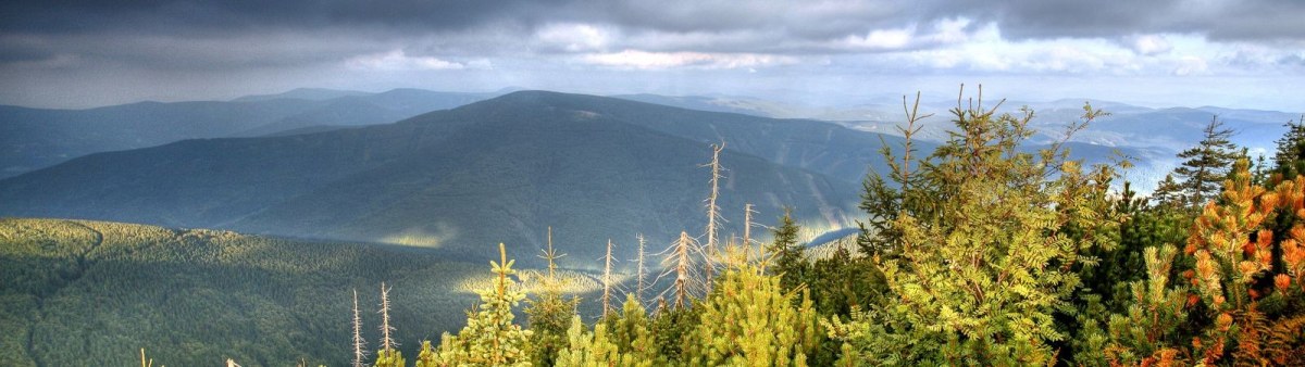 Travný (1203 m n.p.m.)