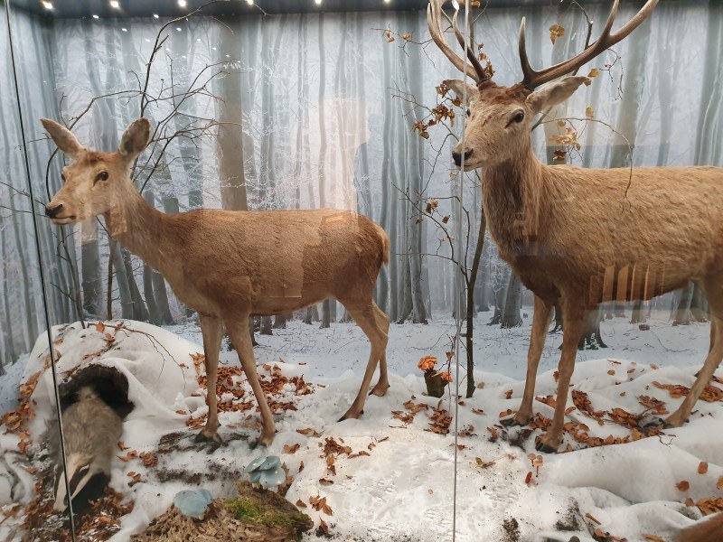 Beskydy – příroda a lidé - i za špatného počasí