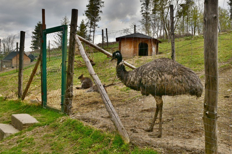 Zvířecí svět, který tě okouzlí