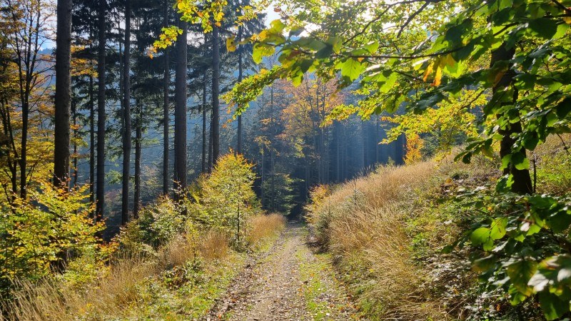 Kněhyně, Tanečnice, Pustevny, Radhošť, Sedlo Pindula