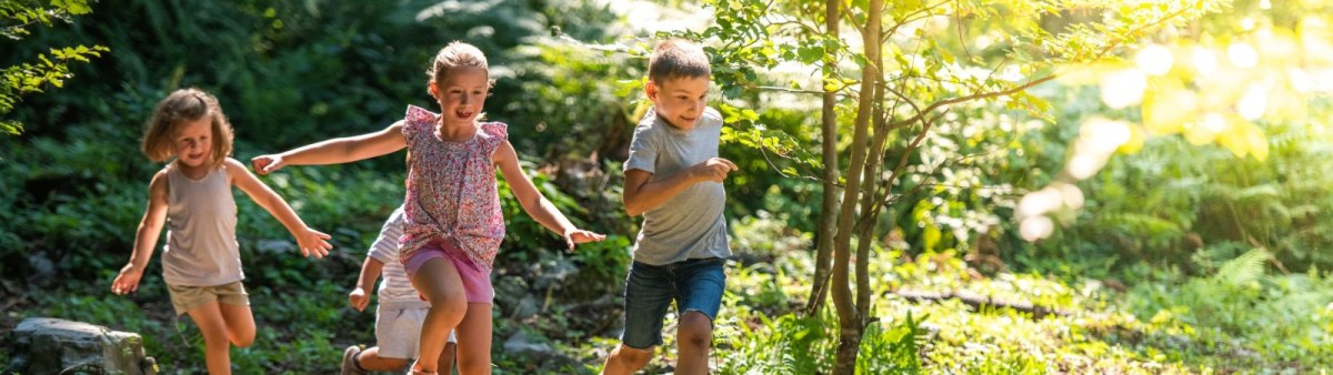 Ścieżka edukacyjna Frydecki las (Naučná stezka Frýdecký les)