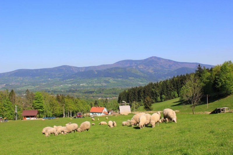 Za výhledy