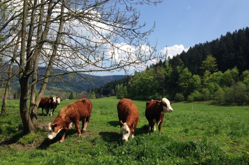 WYCIECZKA „MORÁVKA“