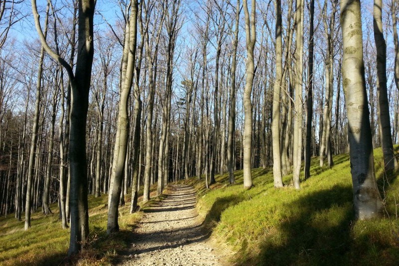 Prašivá-Ropička-Kotař