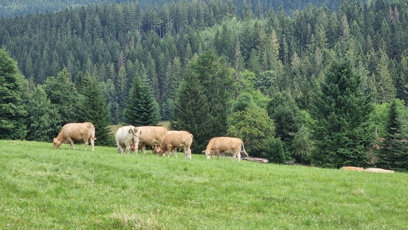 Krásný výlet Krásnou - Po stopách Beskydských bytostí
