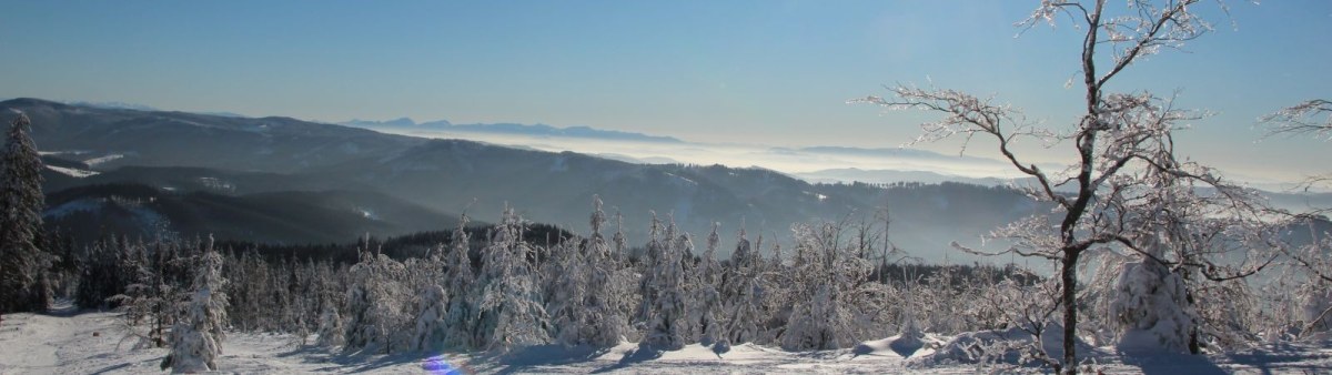 Lysá hora na skialpech