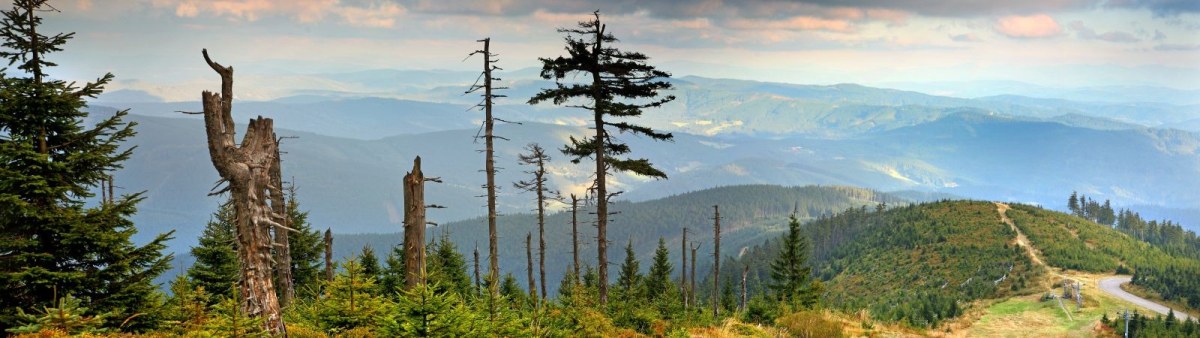 Cyklotrasa Frýdlant n.Ostravicí - Lysá hora (1323 m.n.m)