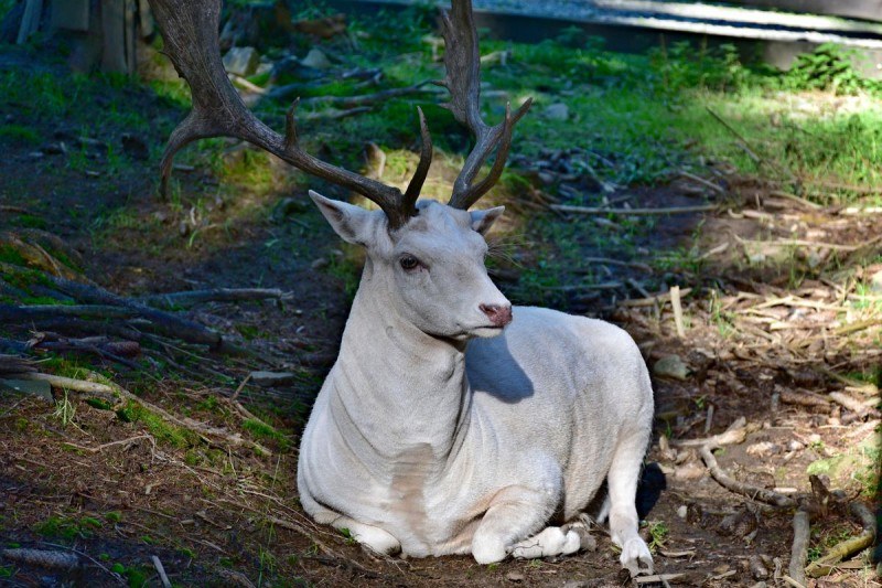 Cesta na Bobek
