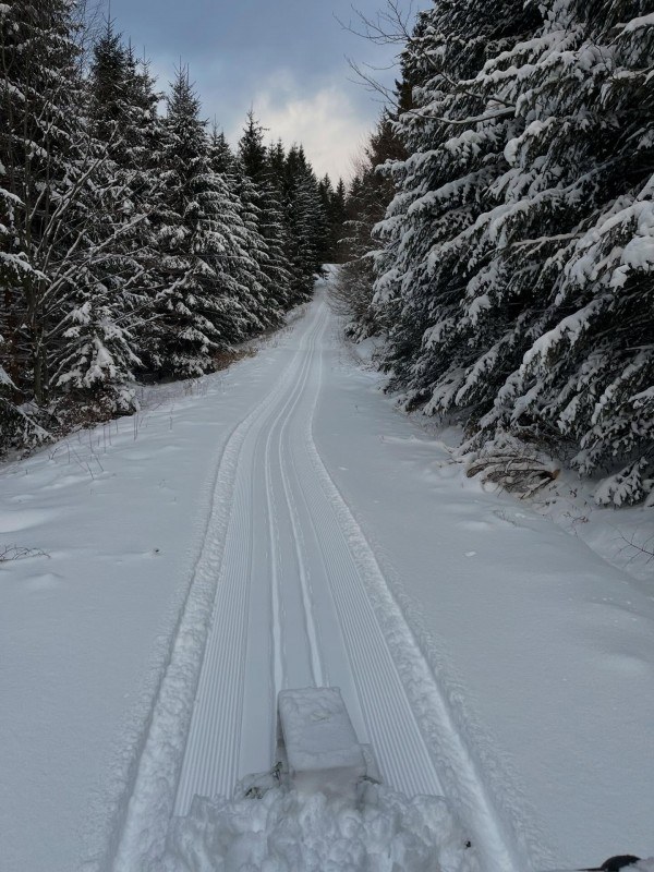 Běžecké trasy na Gruni