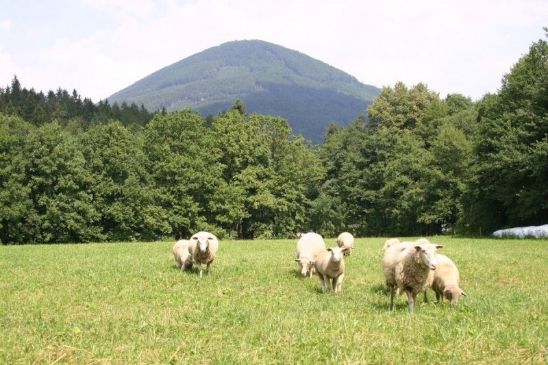 Na vrchol Ondřejníku (Skalka)