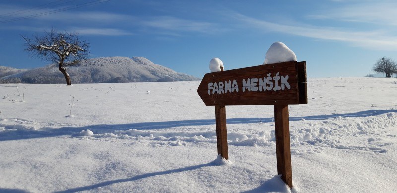 Farma Menšík