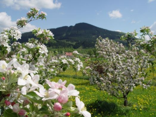 Agropenzion Lhotka