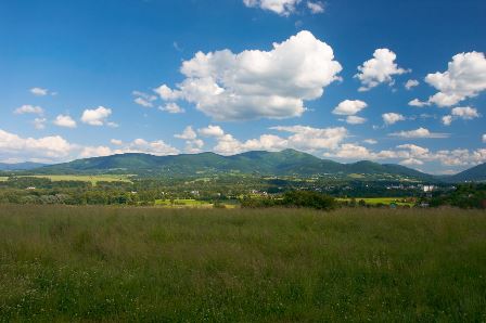 V Beskydech žije nebo tudy migruje patnáct rysů a tři vlci, v Javorníkách je medvěd