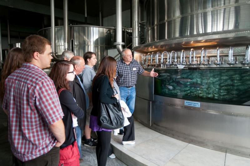 Na správně hořké pivo Radegast vás do pivovaru zaveze historický vlak 