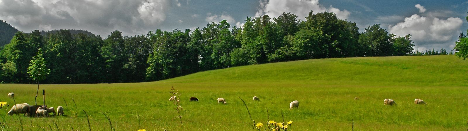 Beskydská krajina