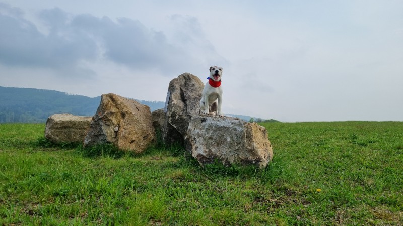 Valašská obec s největším Čechem 19. století 