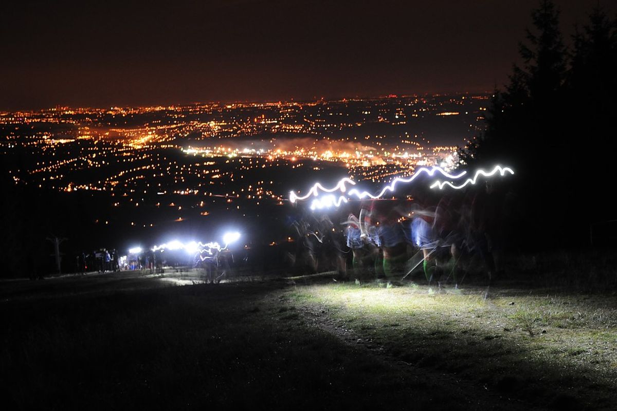 Horečky fest