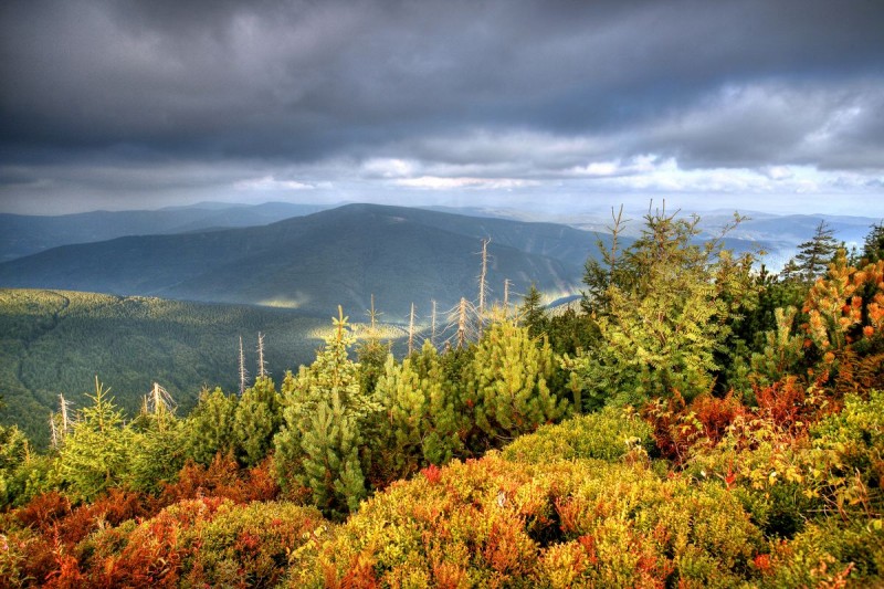 Travný (1203 m n.p.m.)