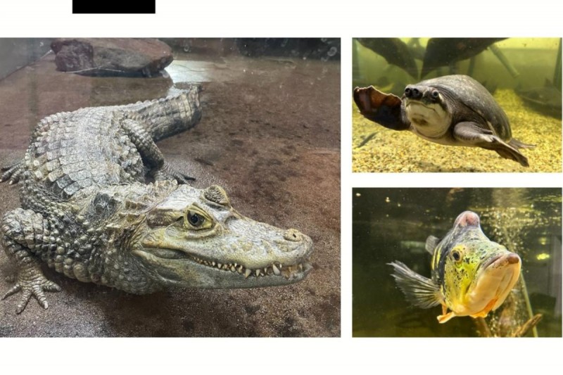 vodní miniZOO Baška