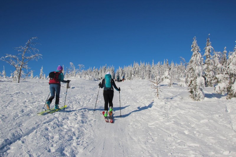 Lysá hora na skialpech