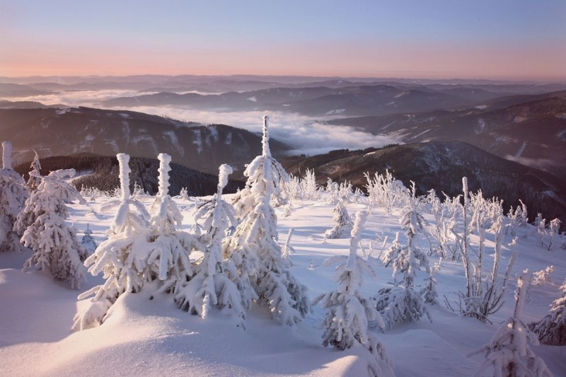 Morávka – Sviňorky – pętla pod Travnym