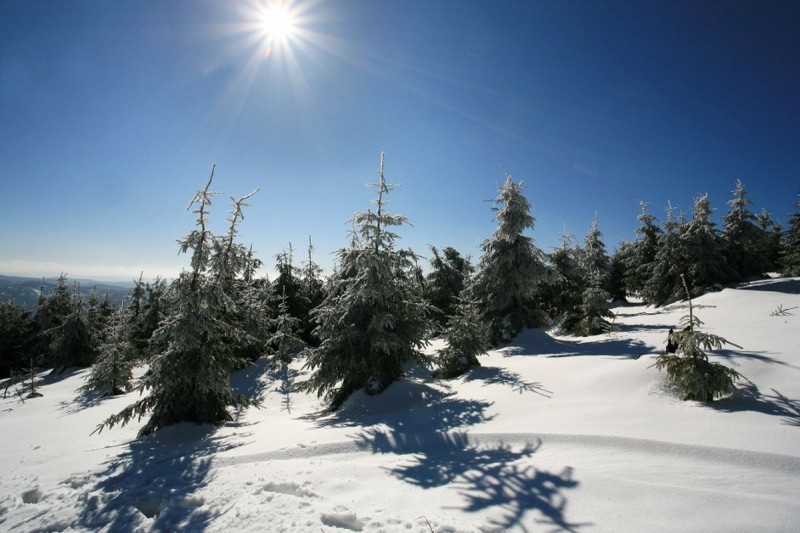 Cross-country ski trails Bílá