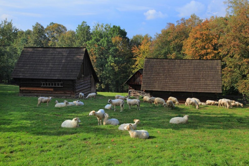 WYCIECZKA Horní Bečva