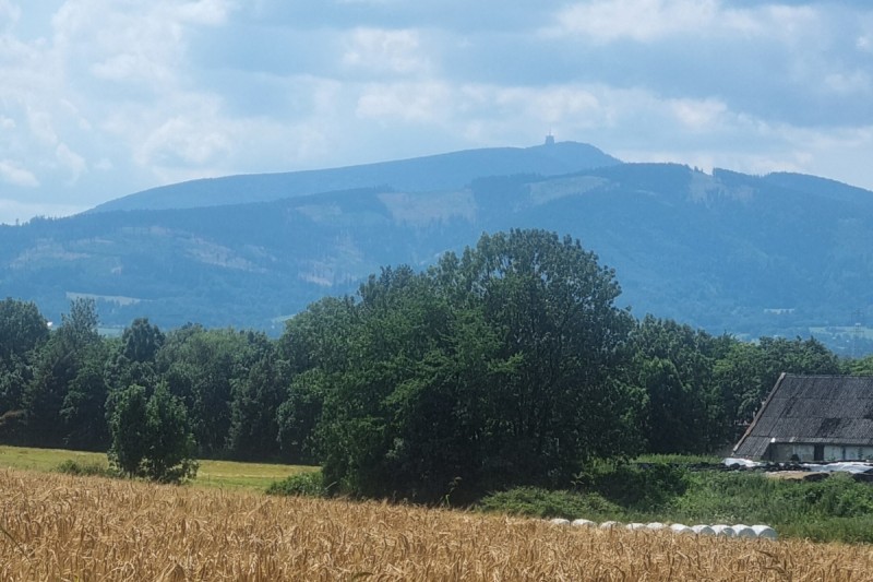 Pivovar Radegast